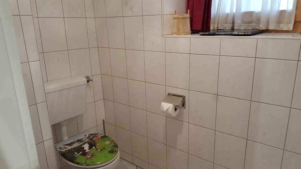 Apartmán Alpen-Fewo, La Gassa 3 Flims Exteriér fotografie